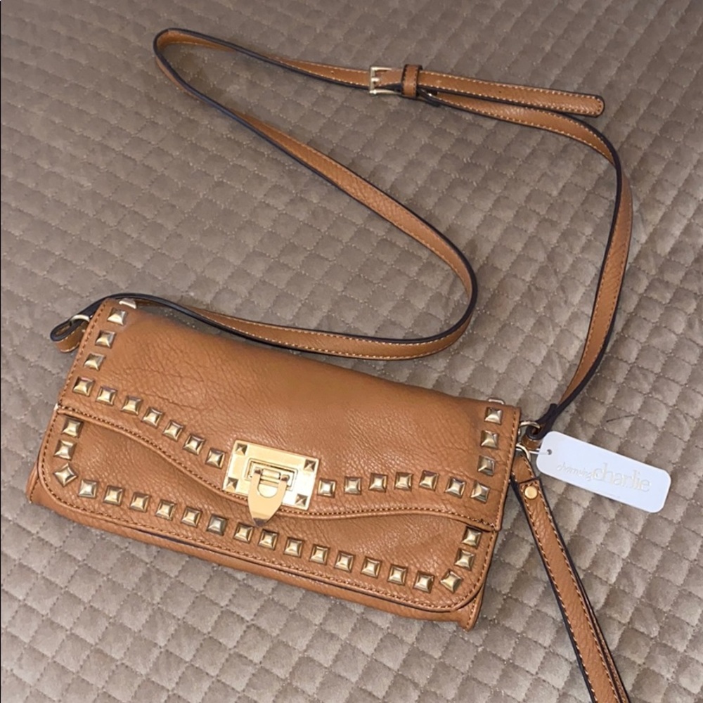 Charming Charlie side bag